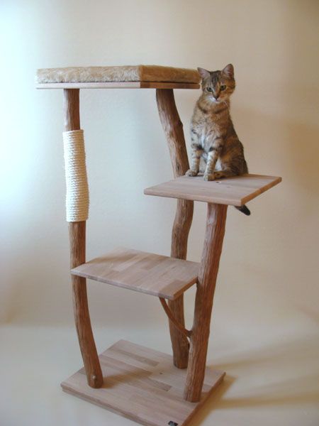 arbre a chat naturel